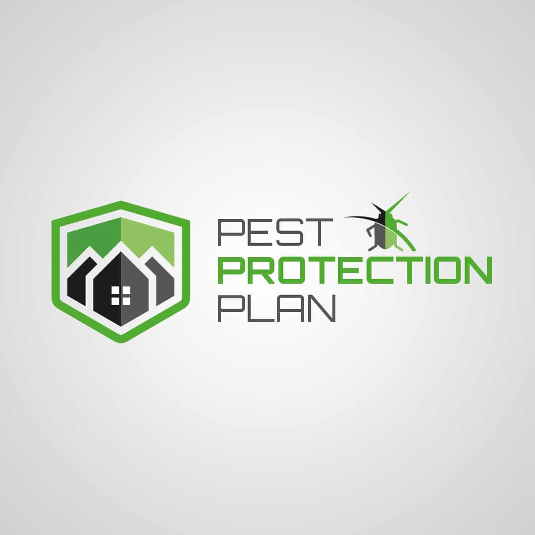 Household Products that Can Kill Pests · ExtermPRO