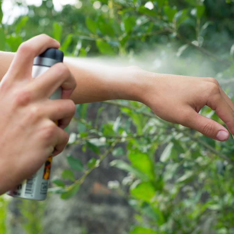 How Do Mosquito Repellents Work? · ExtermPRO