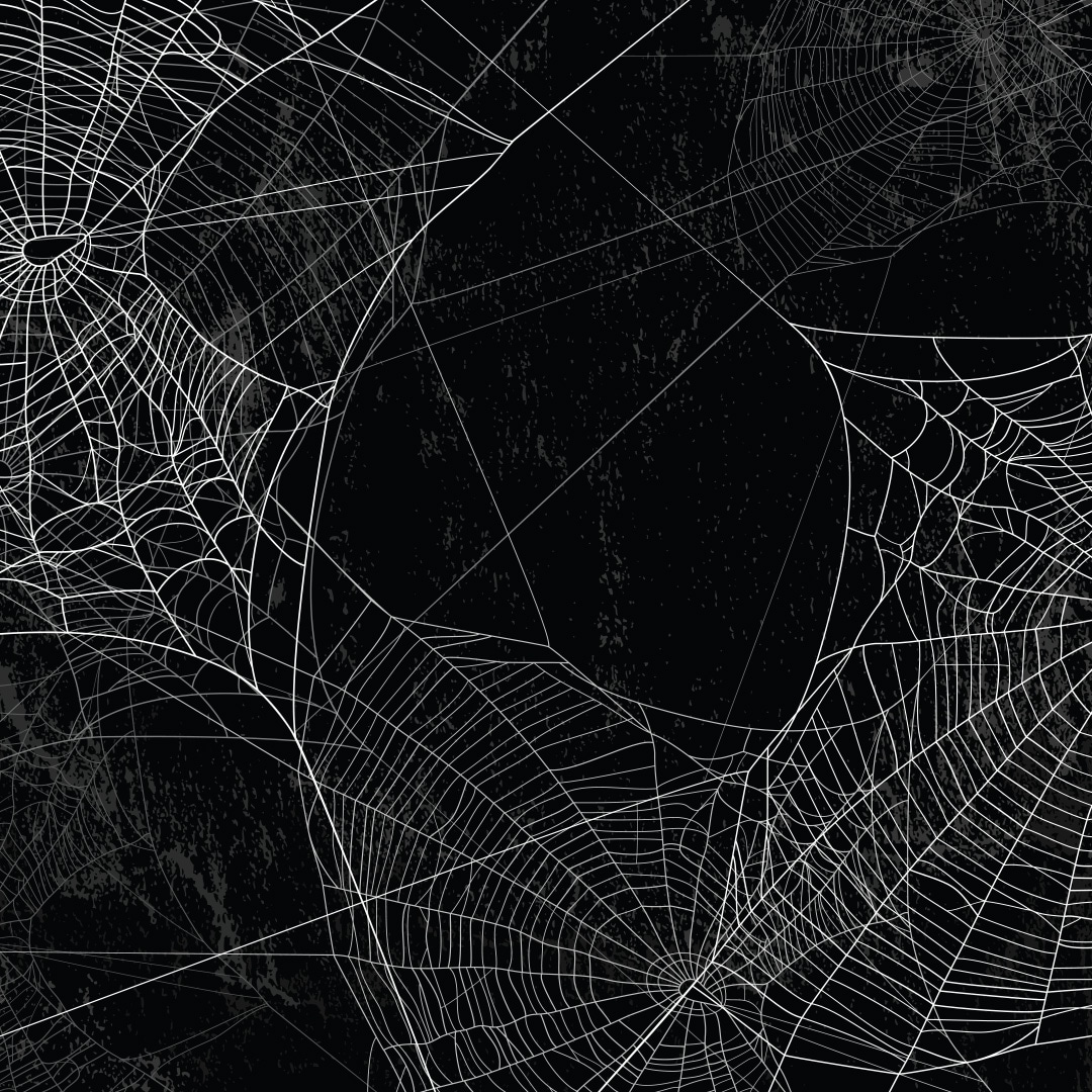 spider-web-exposures-the-blog